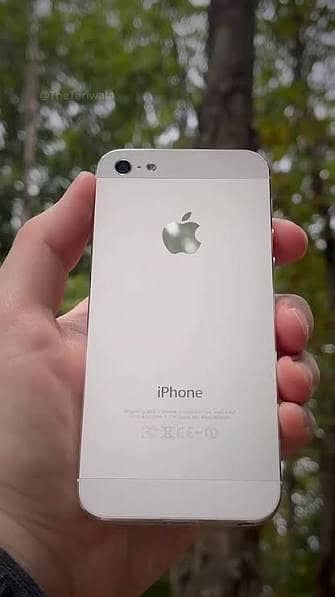 Apple iPhone 5s