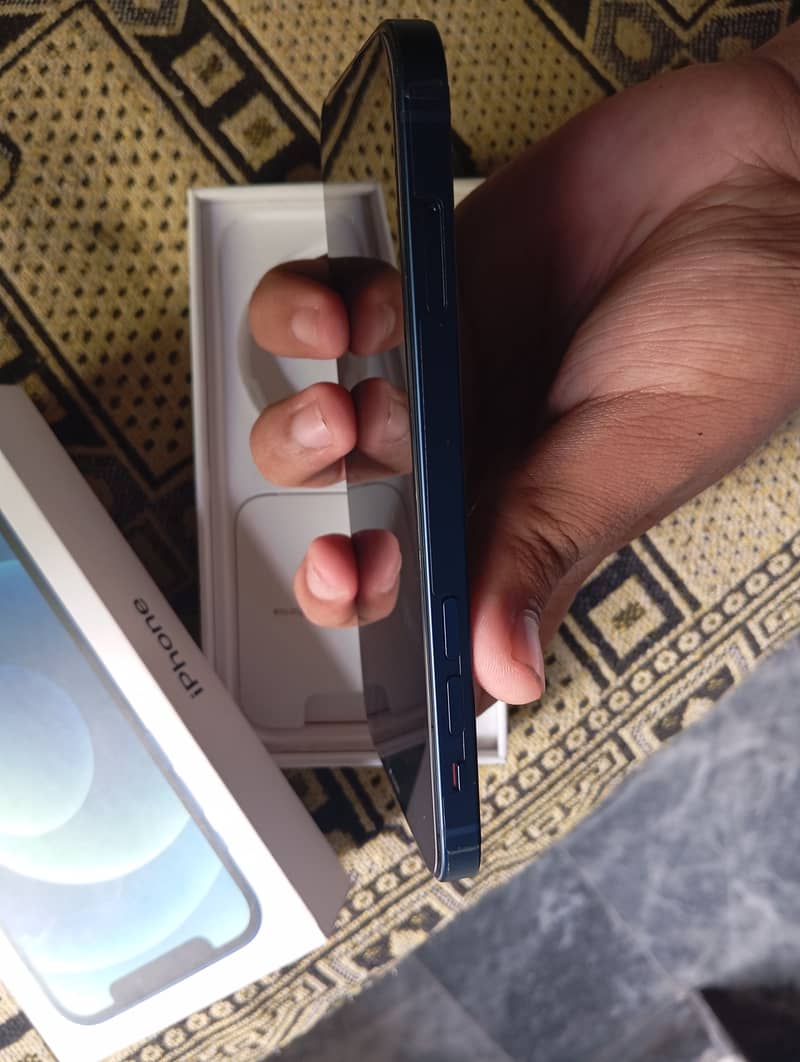 Apple iPhone 12 1