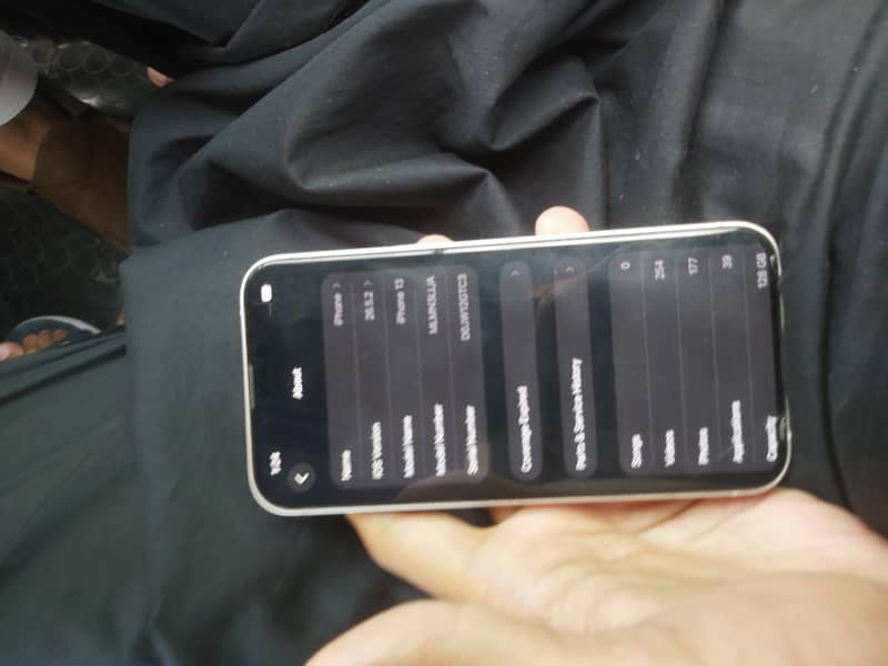 Apple iPhone 13 0