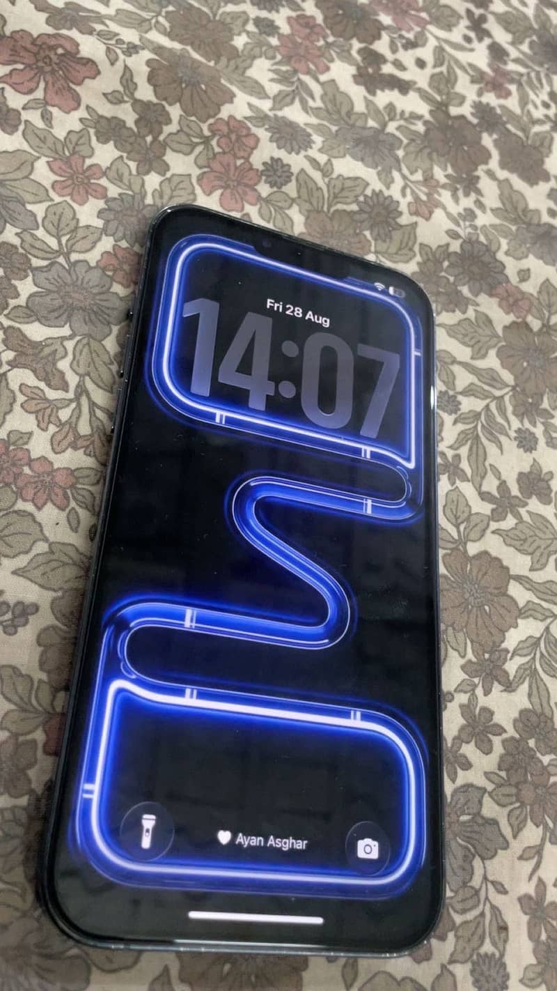 Apple iPhone 13 Pro Max 1