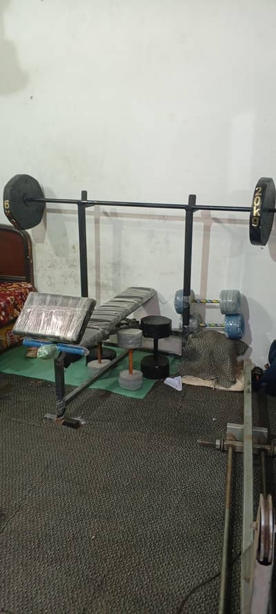 bench press solid incline decline and straight bench press