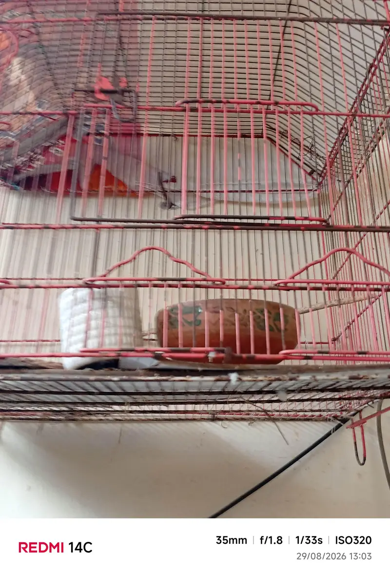 cage for sale 2/ 1.5 — photo 2