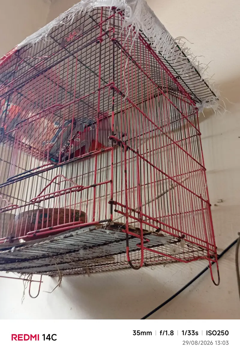cage for sale 2/ 1.5 — photo 3