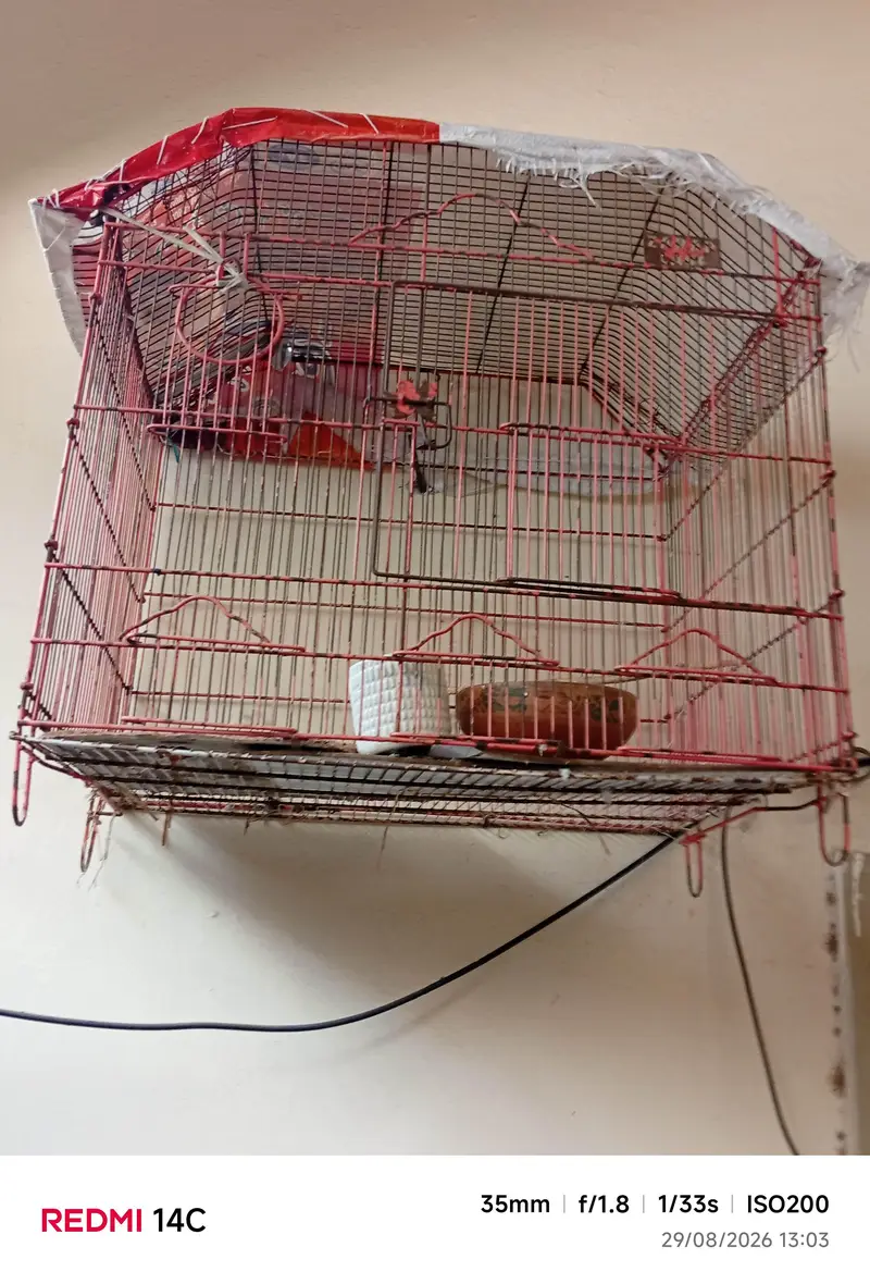 cage for sale 2/ 1.5 — photo 4