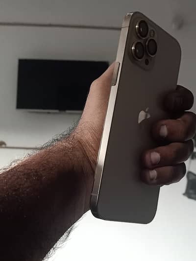 Apple iPhone 12 Pro Max PTA approved