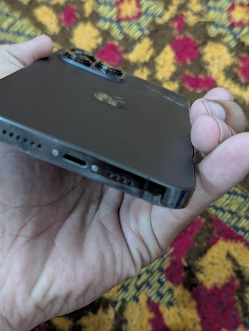 Apple iPhone 13 Pro Max 3