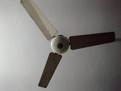 Brand. . . Pakfan for sale in Multan. . . 03097233293