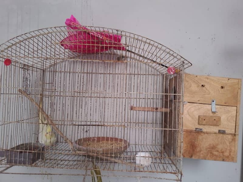 beader pair 1