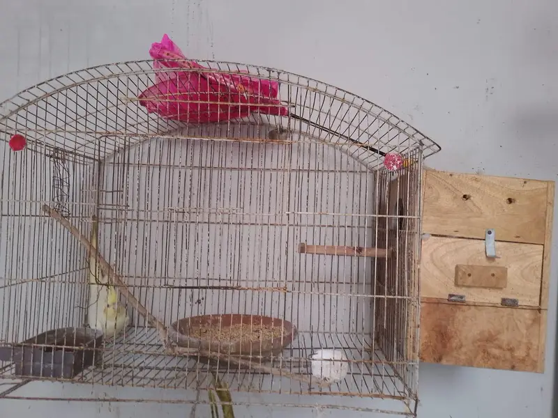 beader pair — photo 2