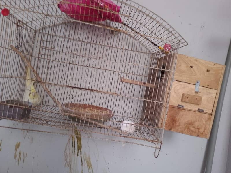 beader pair 3