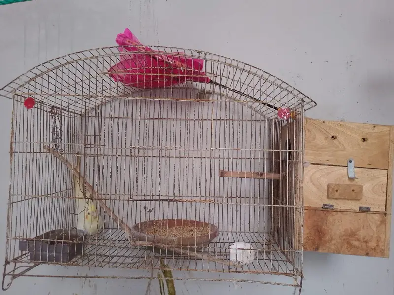 beader pair — photo 6