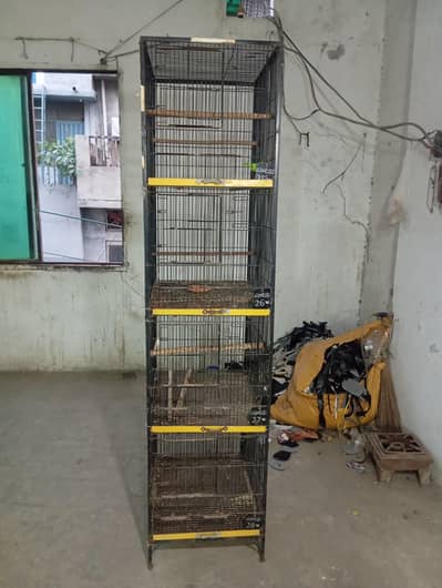 hogoromo birds and cage for sale