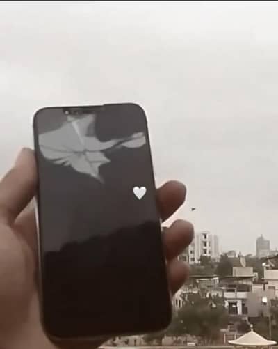 iphone 7 iphone 13 ho gie price 29,999