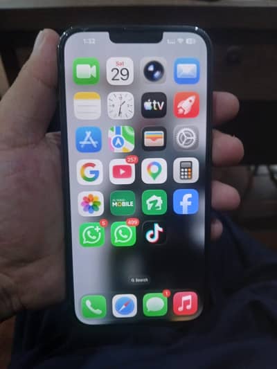 Apple iPhone 13 Pro Max