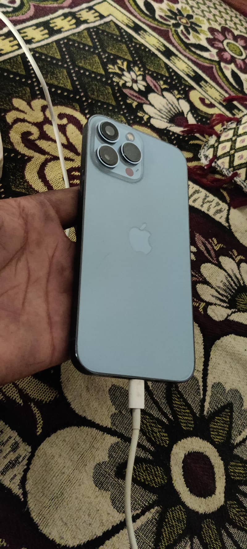 Apple iPhone 13 Pro Max 1