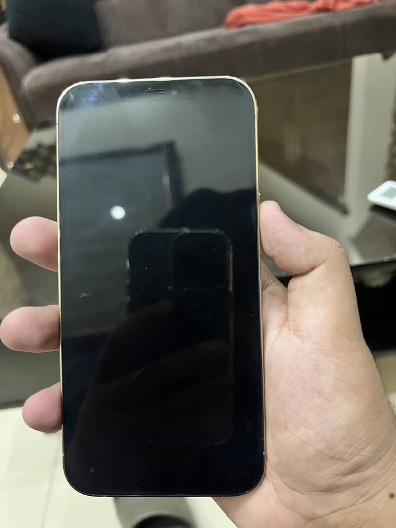 Iphone 12 pro max 2