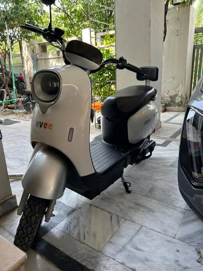 Evee Nisa for sale