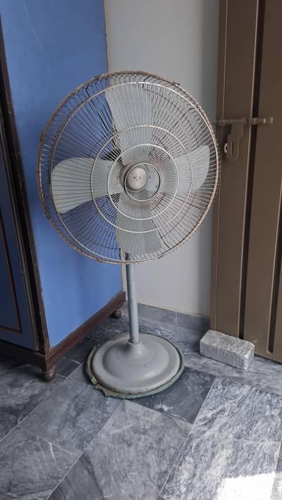 3 ceiling fans and 1 stand fan