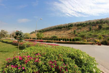 Naya Nazimabad | Block D | 160 SQYD | 40ft Road + KE Charges Paid