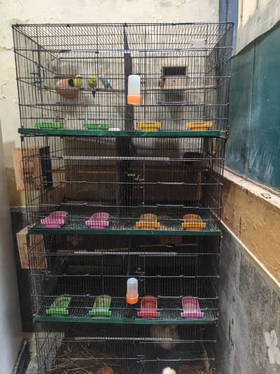 8 portion master cage urgent sale