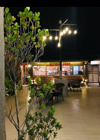 Terrace cafe female only 18+