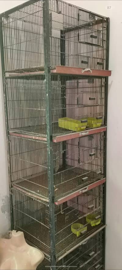 birds cage