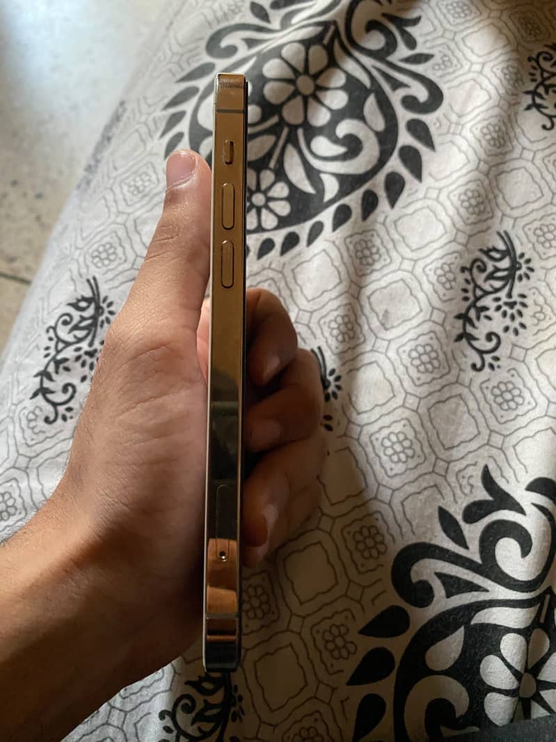 Apple iPhone 12 Pro 4