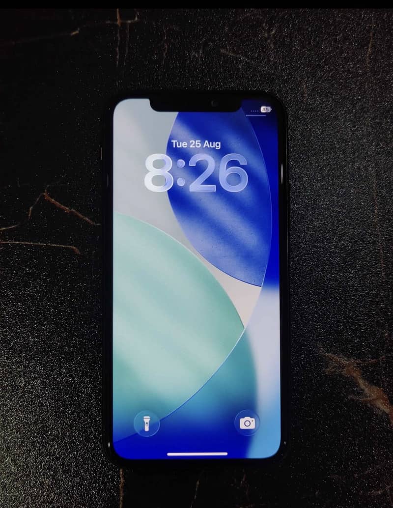 Apple iPhone 11 Pro Max 1