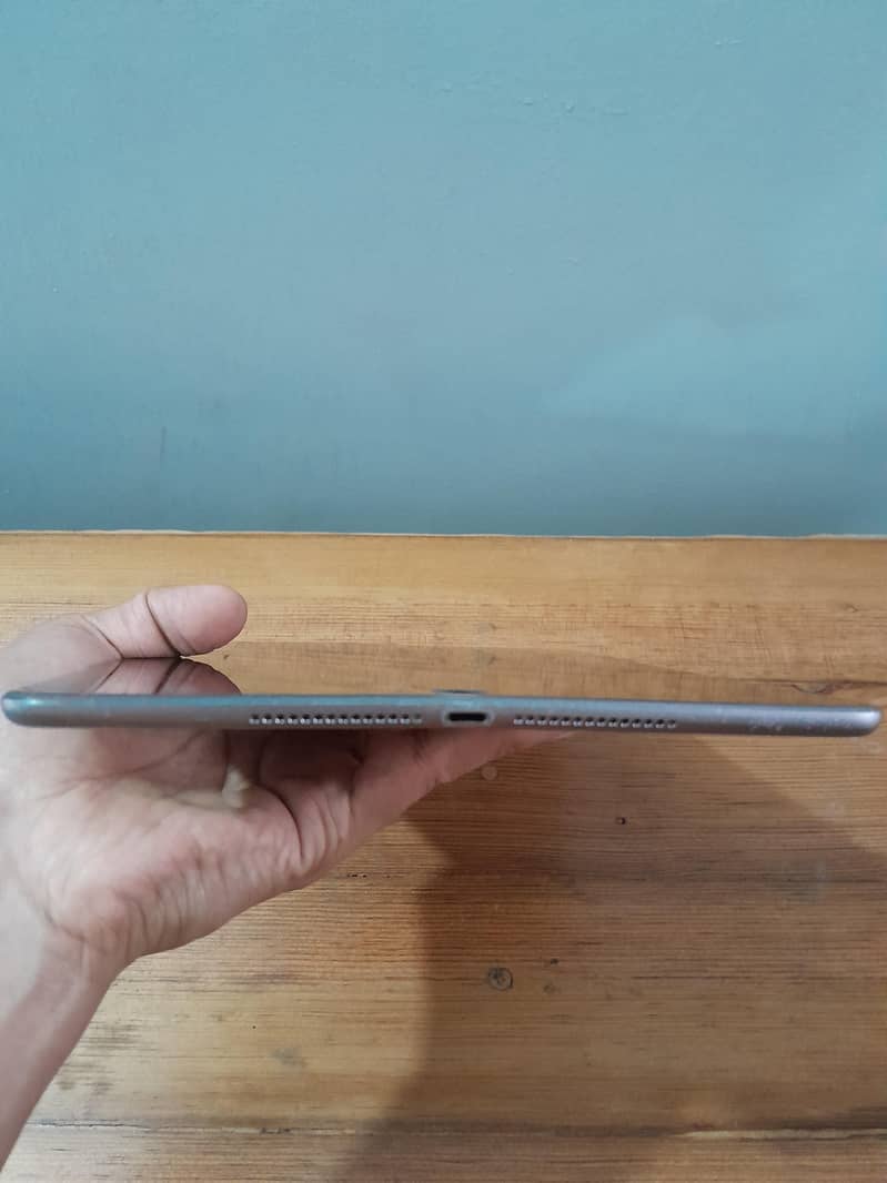 apple 1