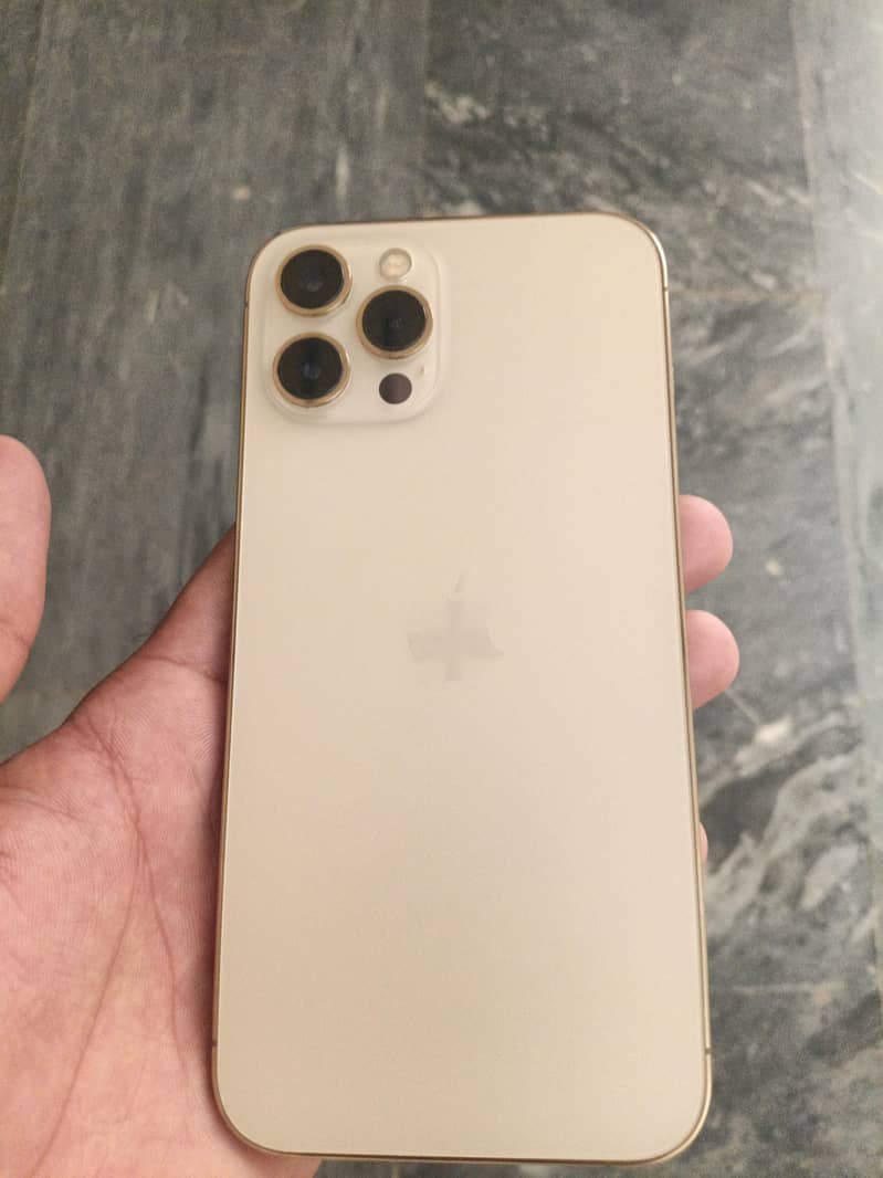 Apple iPhone 12 Pro Max 1