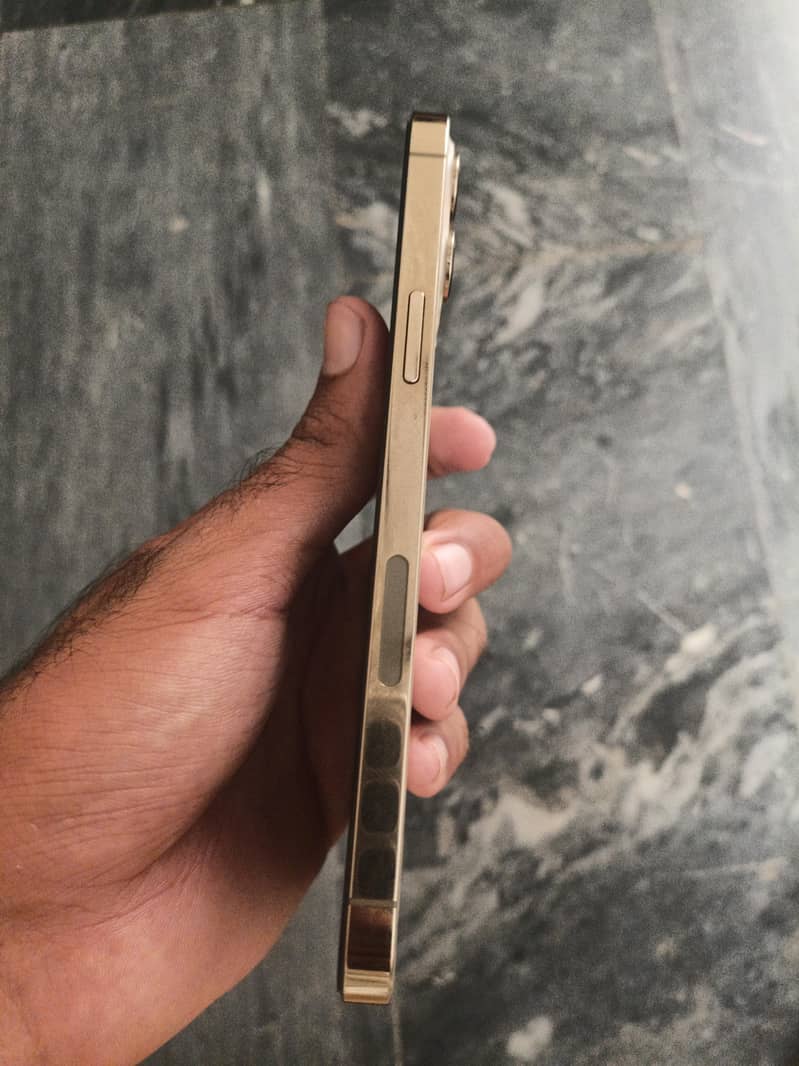 Apple iPhone 12 Pro Max 2
