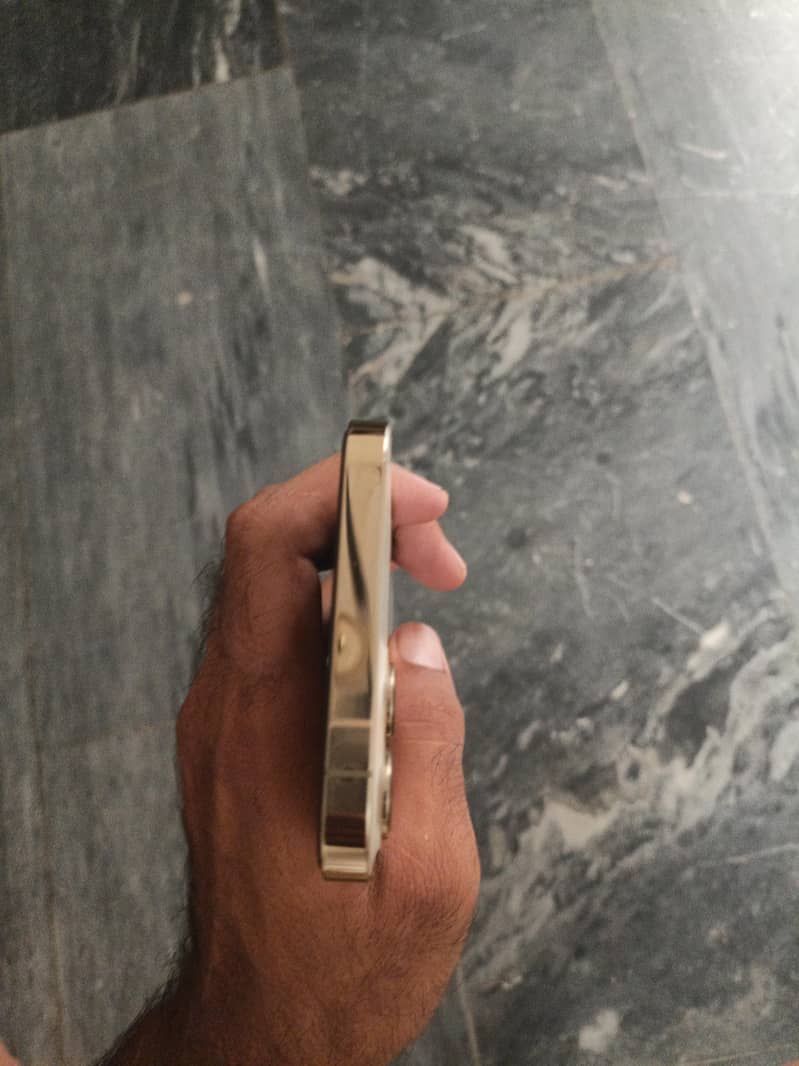 Apple iPhone 12 Pro Max 3