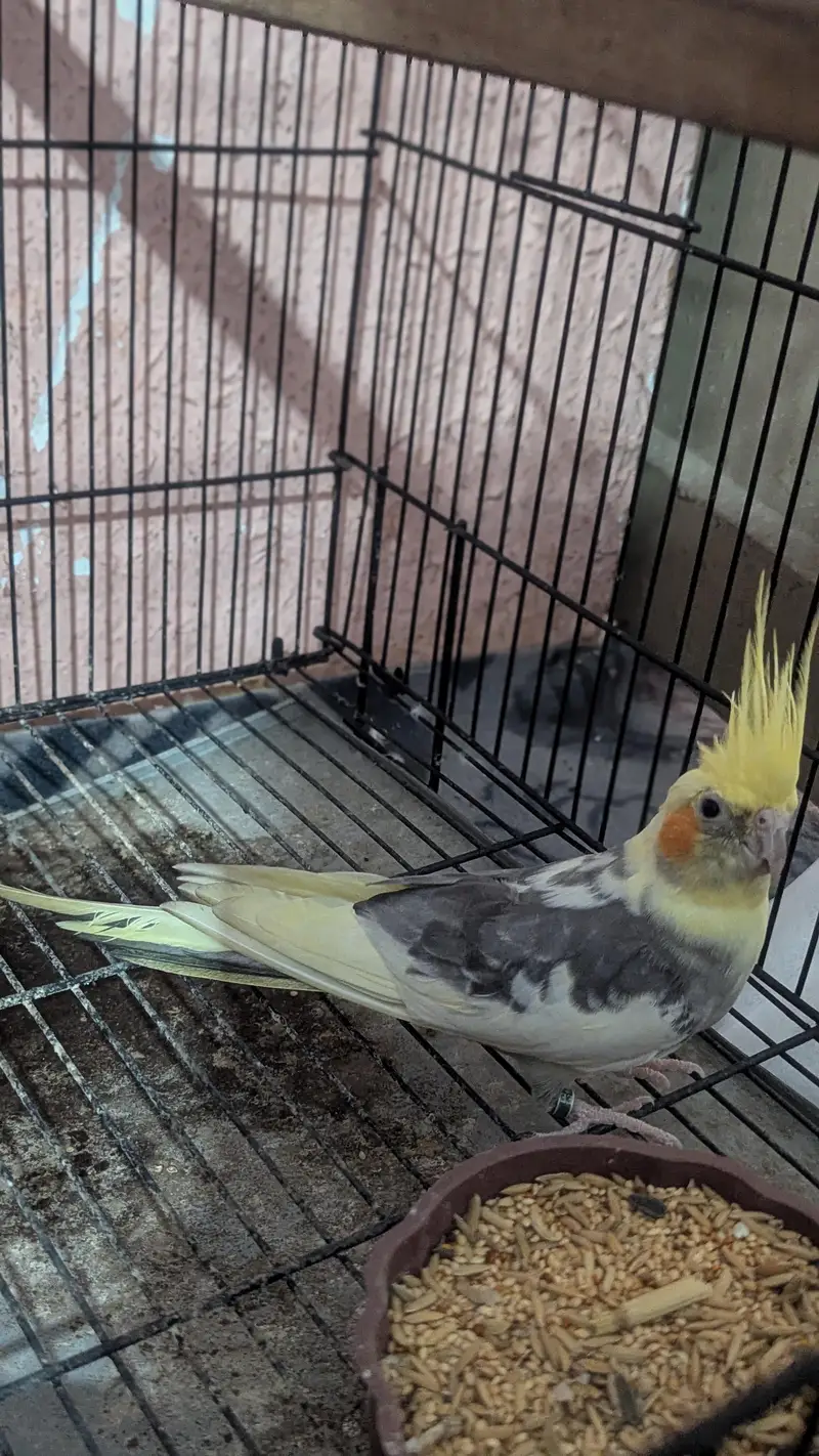 sale Karna ha — photo 2