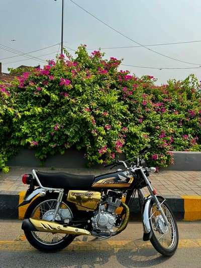 Honda 125 Gold Edition 2025 | 2024 Registered | Excellent Condition 