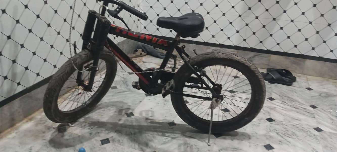 Bicycle 3