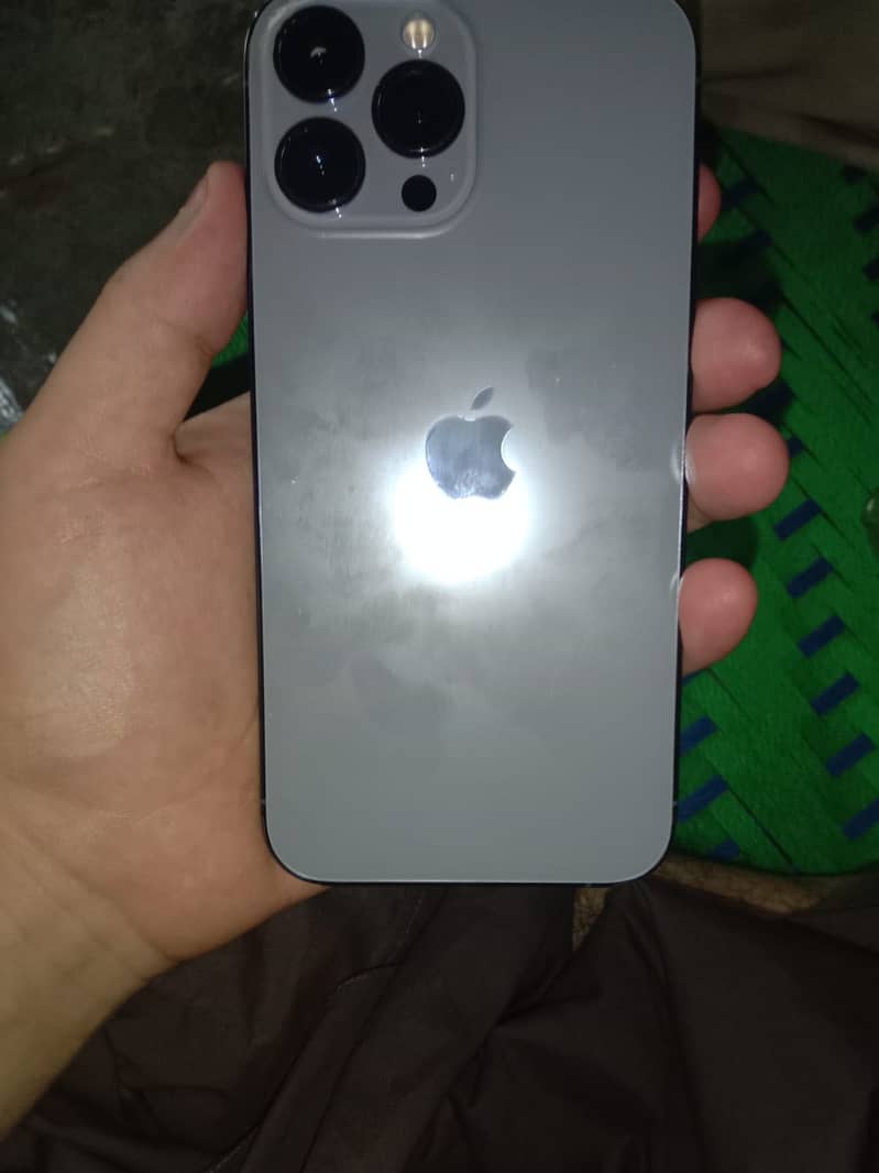 Apple iPhone 13 Pro Max 1