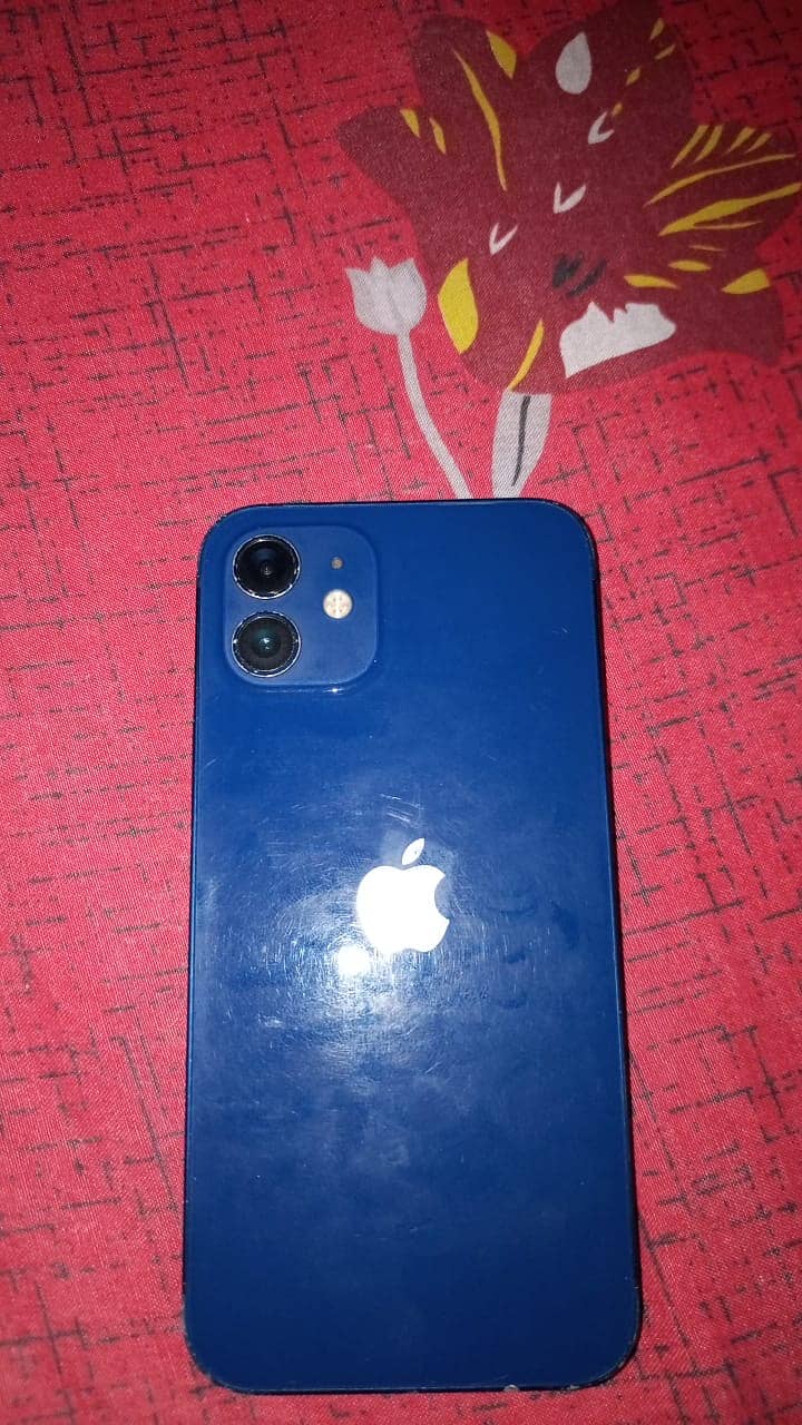 Apple iPhone 12 1