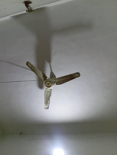 fan ac DC with remote control