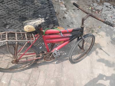 cycle