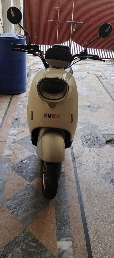 Evee Nisa model 2024