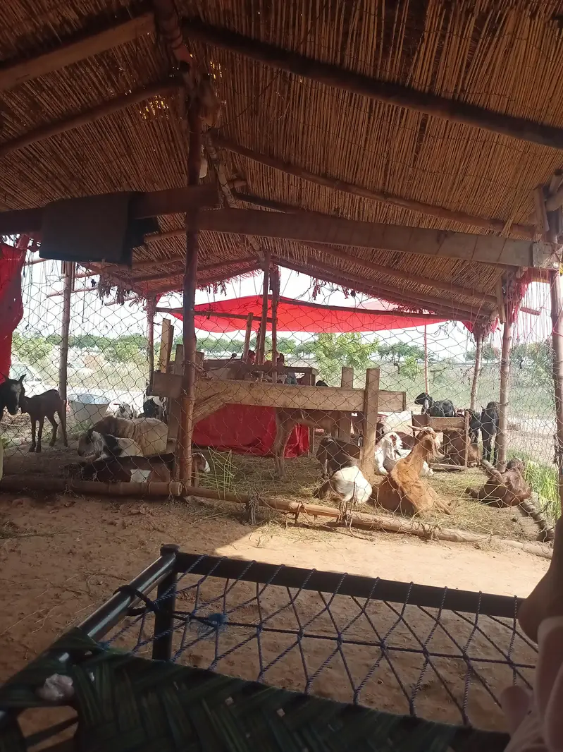 zohaib bakra farokht — photo 2