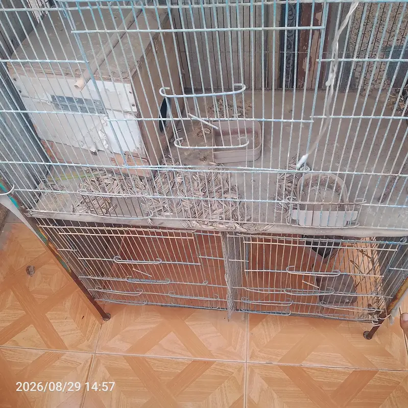 nooooo — photo 3