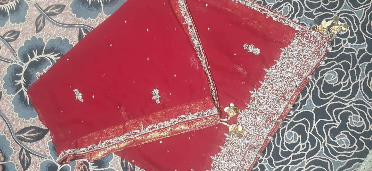 Lehnga 10