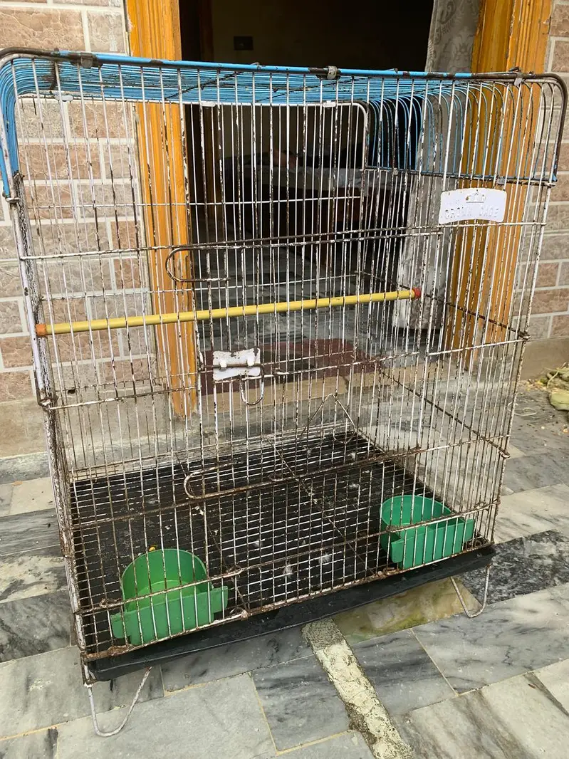 cages — photo 2