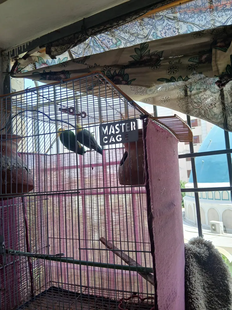 Fisher pair or cage for sell — photo 4