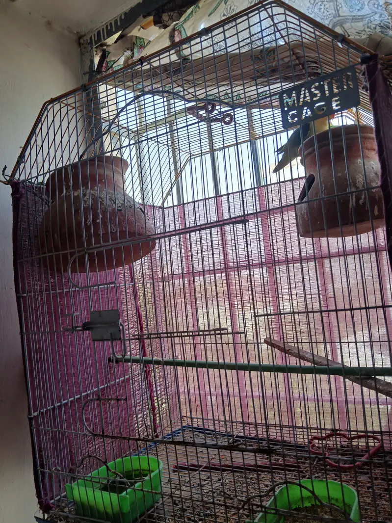 Fisher pair or cage for sell — photo 5
