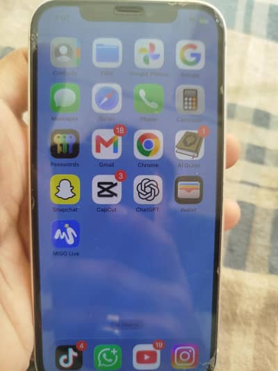 Apple iPhone 12 JV