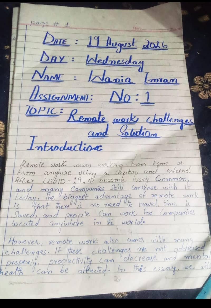 assignment writer 1
