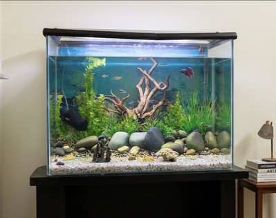 3 feet Aquarium for sell