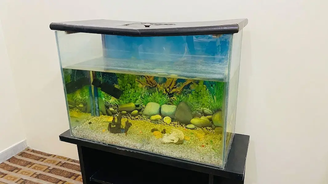 3 feet Aquarium for sell — photo 2